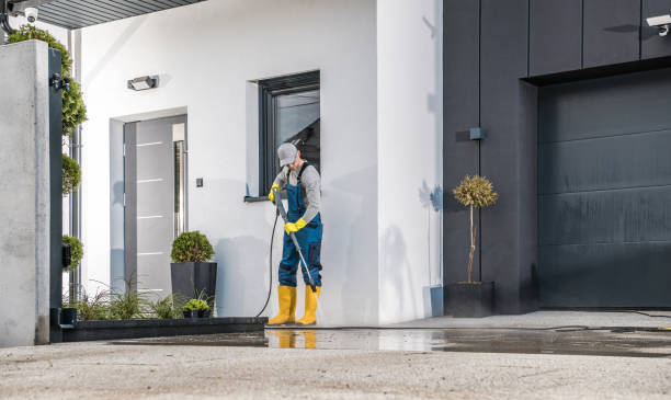 Best Pre-Holiday Cleaning  in Fritch, TX