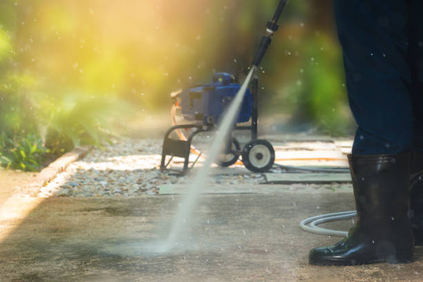 Best Solar Panel Cleaning  in Fritch, TX